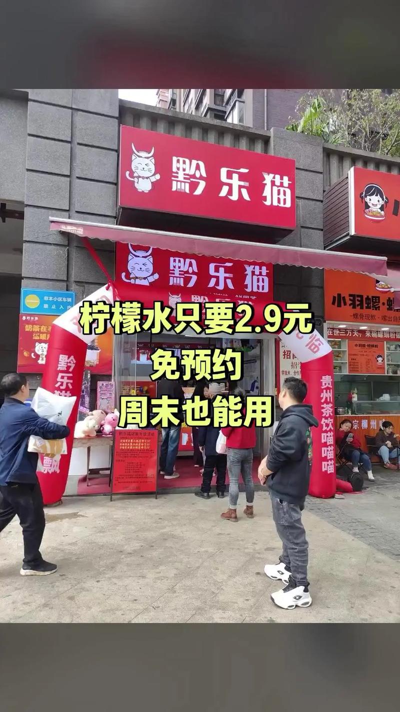 2025年正版资料免费大全最新版本下载安装:倒卖柠檬水赚差价